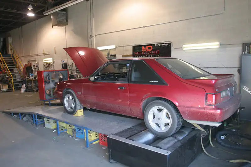 Dyno3.webp
