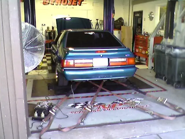 DYNO4.webp