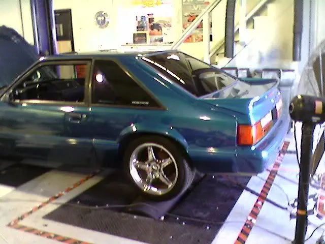 DYNO5.webp