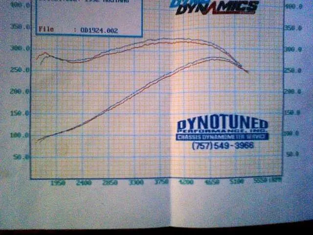 dynochart.webp