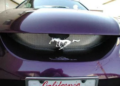 dzgrille_sl.webp