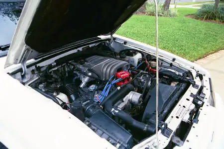 e36144b3.webp