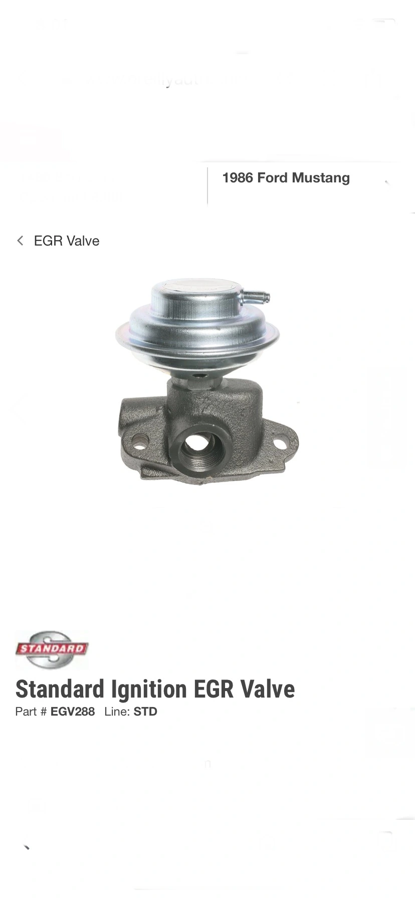 E9797224-B316-45D7-86E9-AD3F15CA2D17.webp