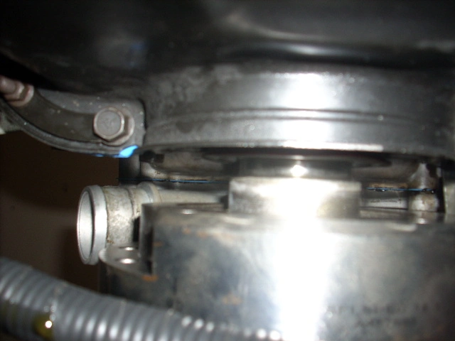 ear5ds.webp