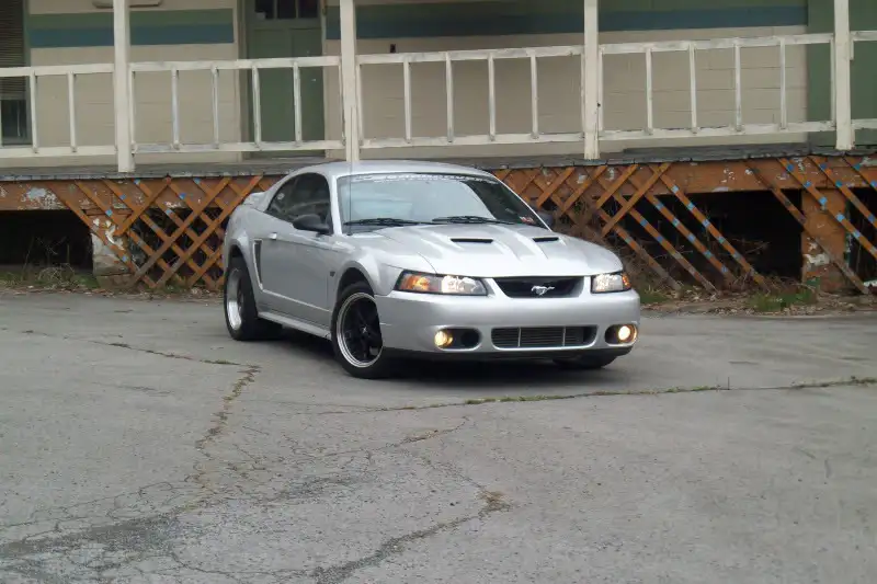 edit1.webp