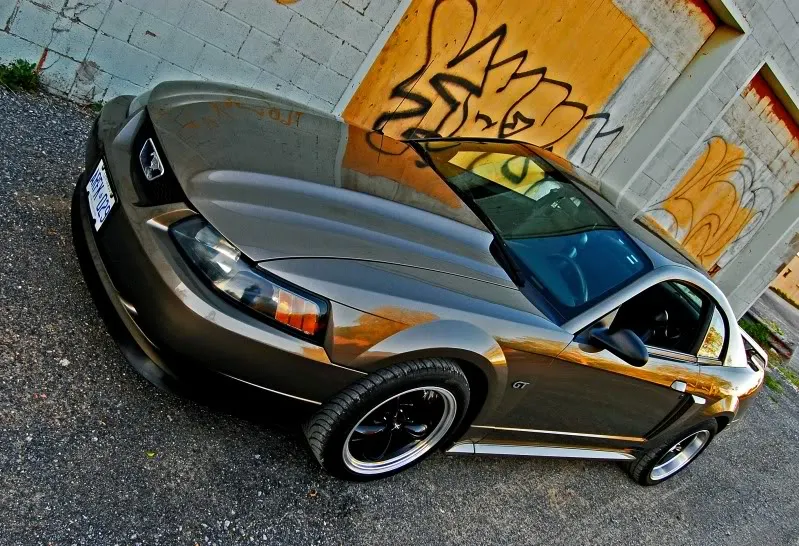 edited1.webp
