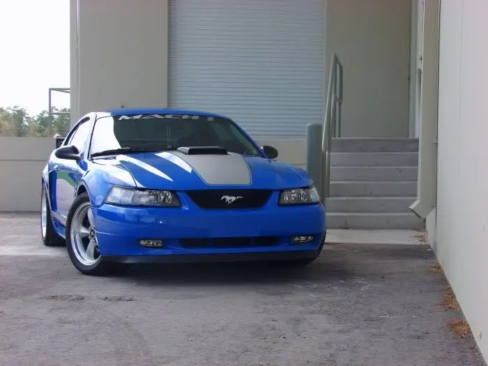 Editf2.webp