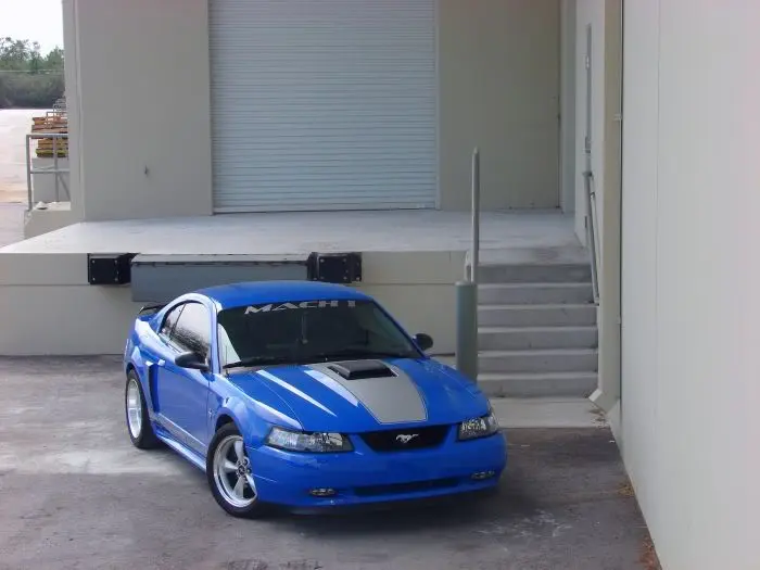 Editf3.webp