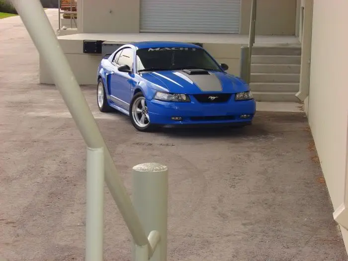 editf4.webp