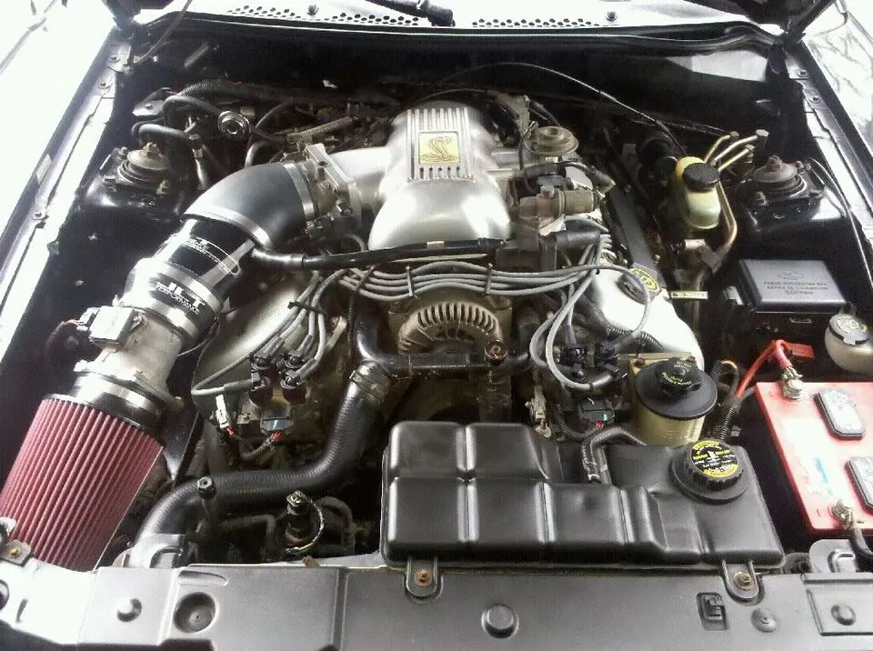 eeeng.webp