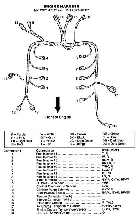 EFIEngineHarness.webp