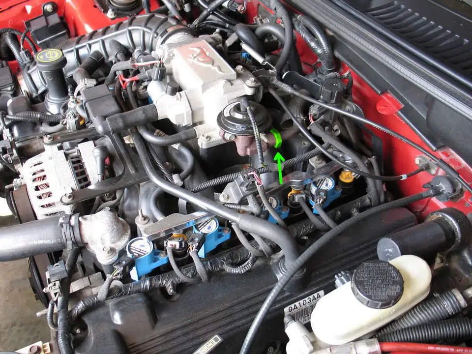 egr1.webp