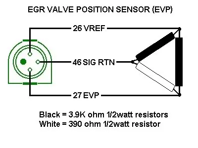 egrfr5.webp