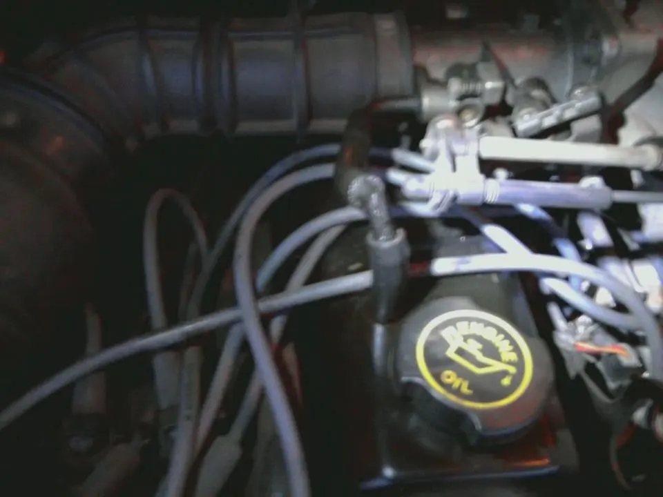 egrthingy.webp