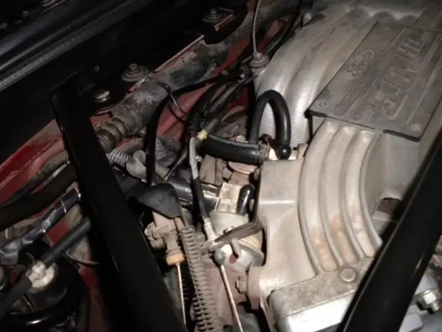 egrvalve3.webp