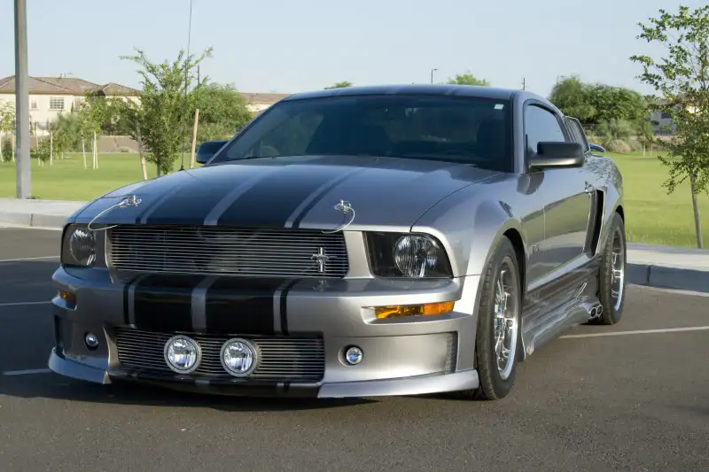 Elanor31of1.webp