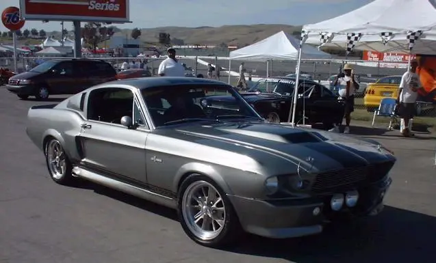 eleanor.webp