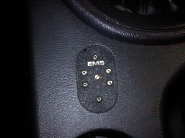 ems2.webp
