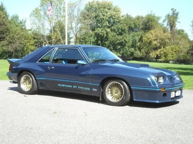enduro-mustang-1.webp