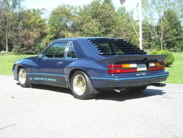 enduro-mustang-2.webp