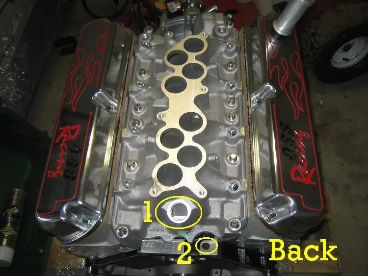 engback.webp