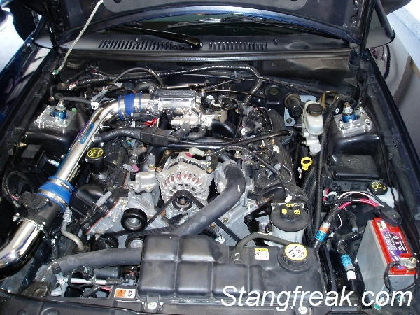 Engine%20Bay%20stagnfreak.webp