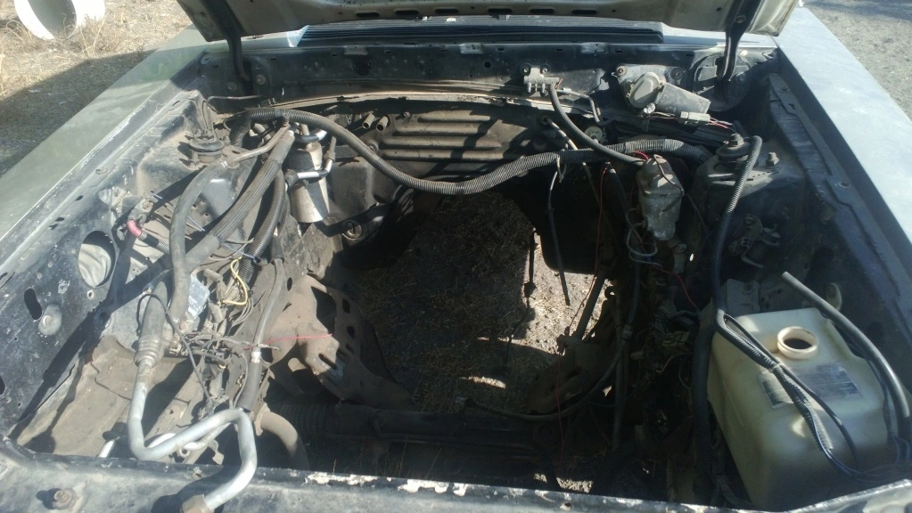 Engine Bay.webp
