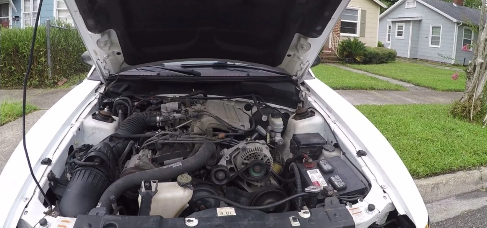 enginebay.webp