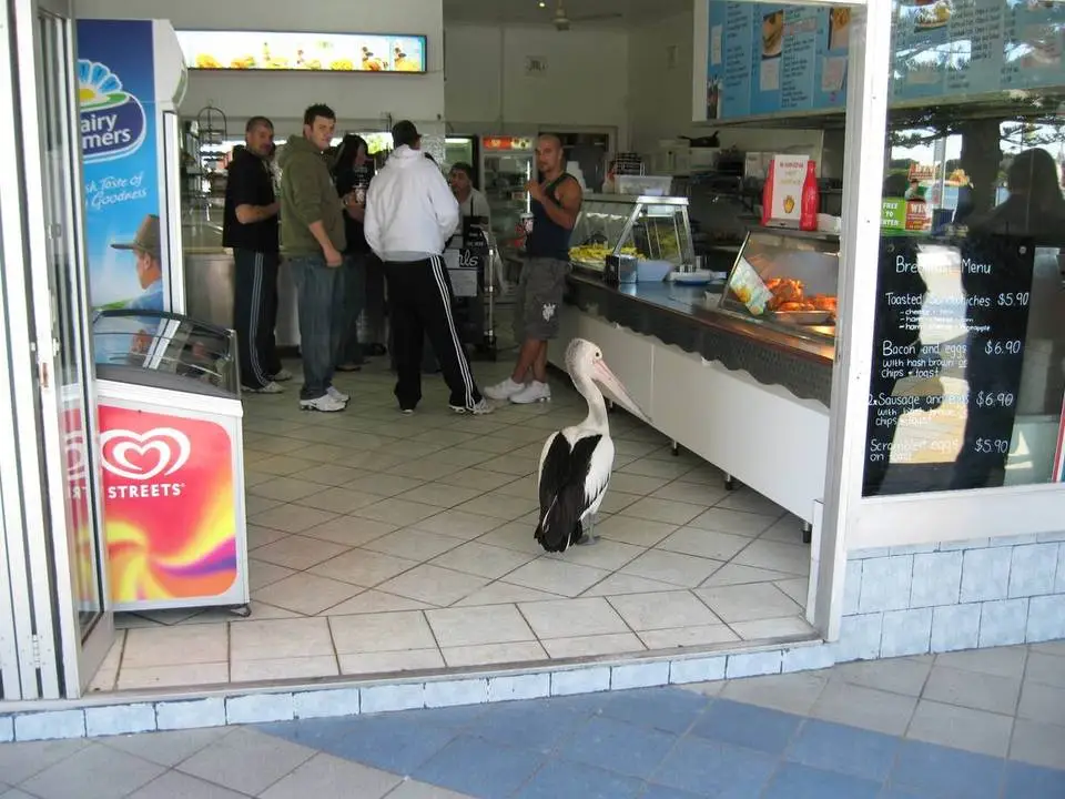 Entrance450831.webp