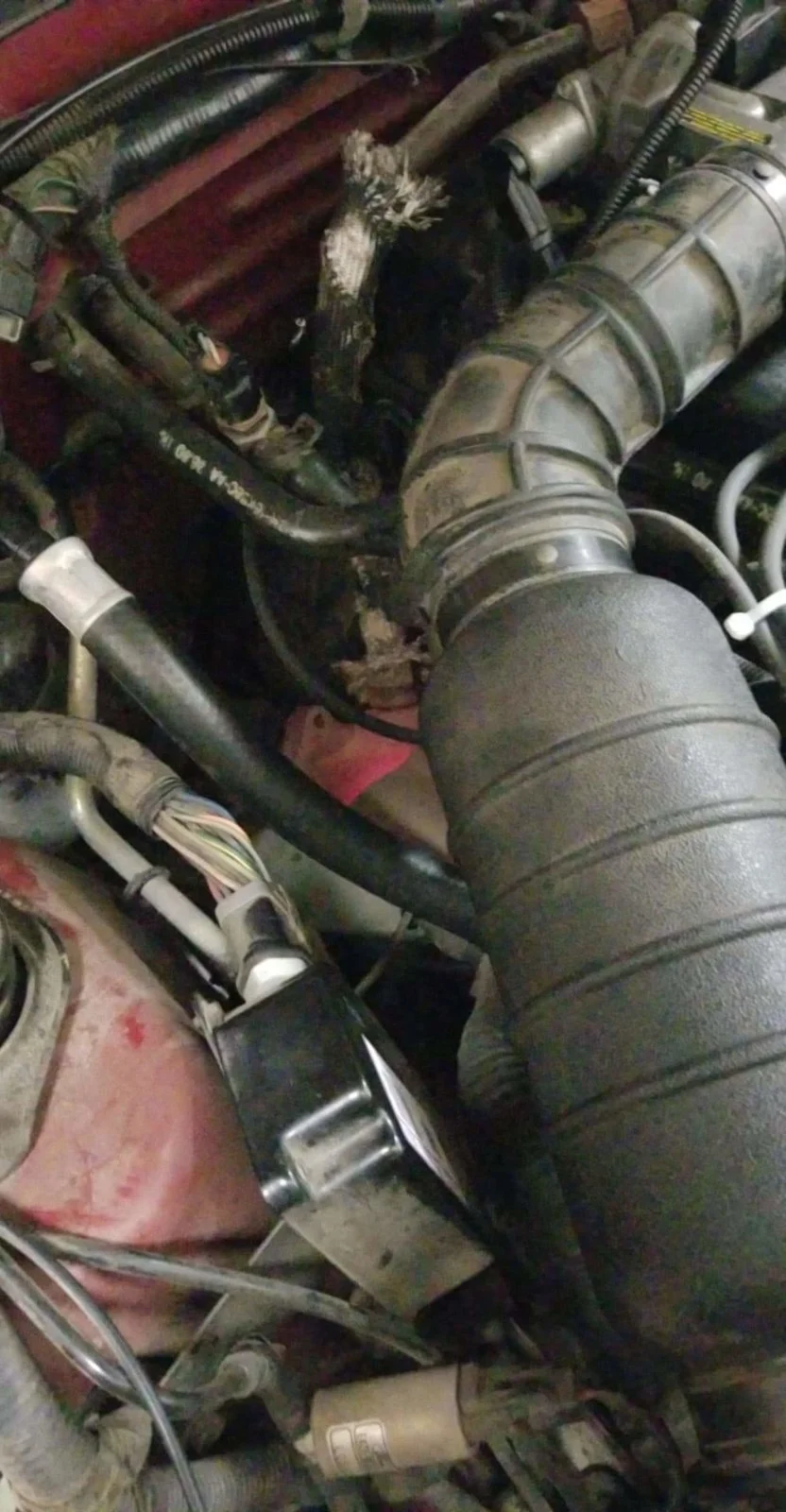 Exhaust 2.webp