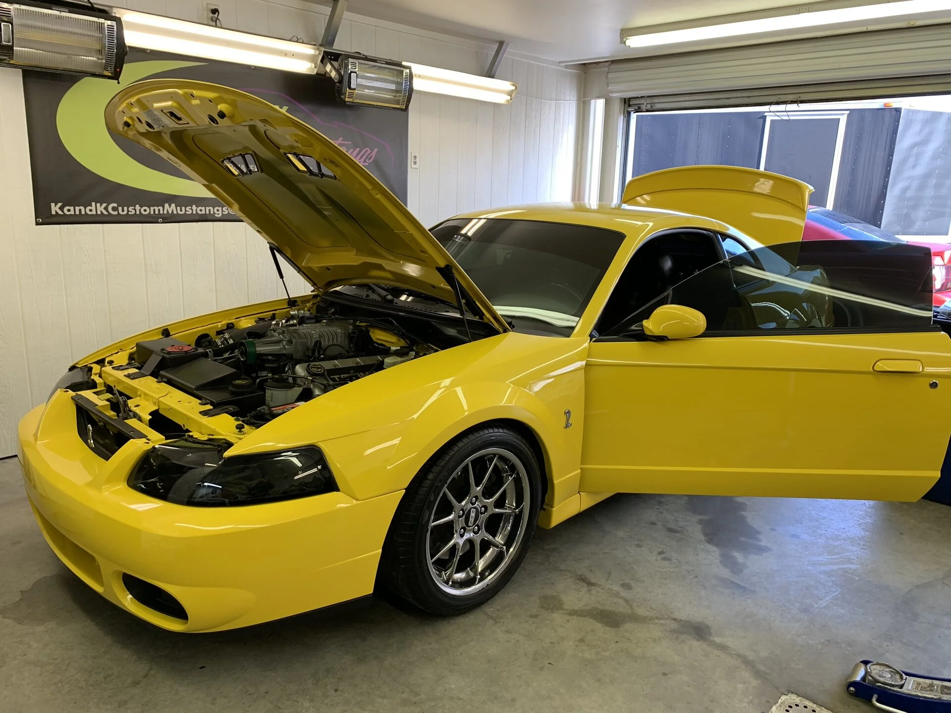 F29D2E07-0623-4F2C-974C-51B6B93A68BC.webp