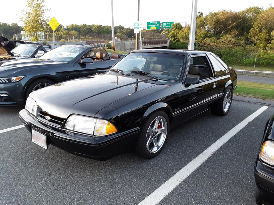 F4482ADA-9AB1-4AC0-9FBD-06B2A23FA7AB.webp