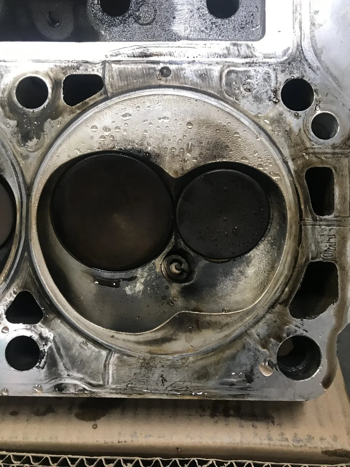F6EC18E0-48AC-43DC-BF05-7EC59E73B7E7.webp