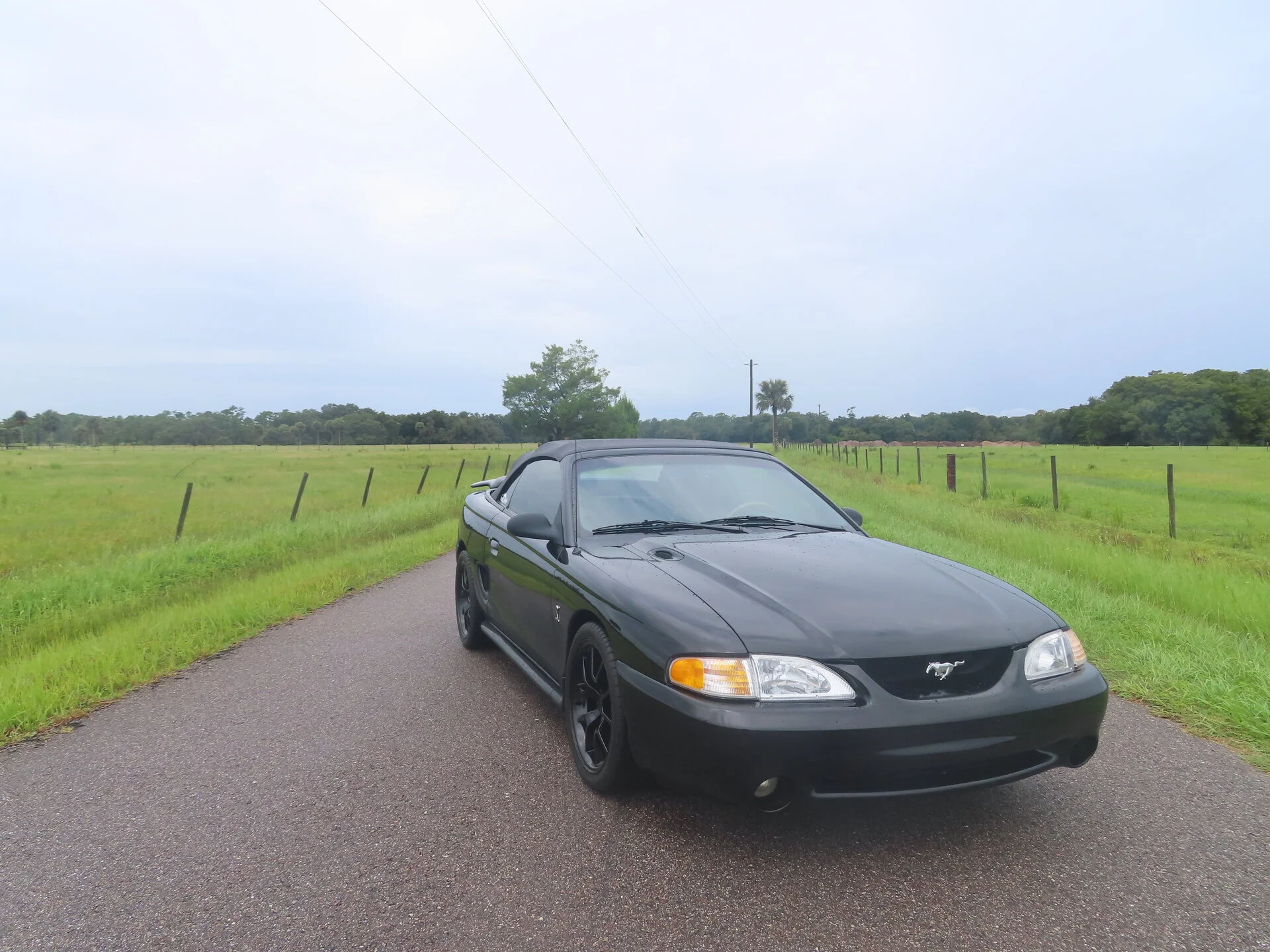 F9956D89-1136-4FEB-83CF-FD6178D1E6A0.webp