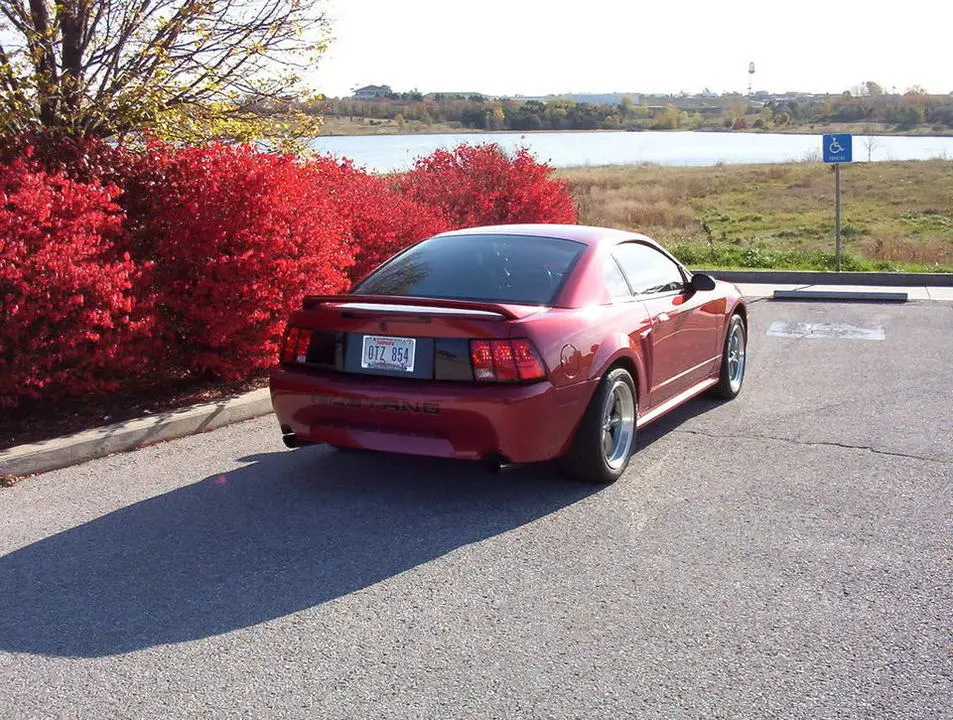 fall-mustang002.webp
