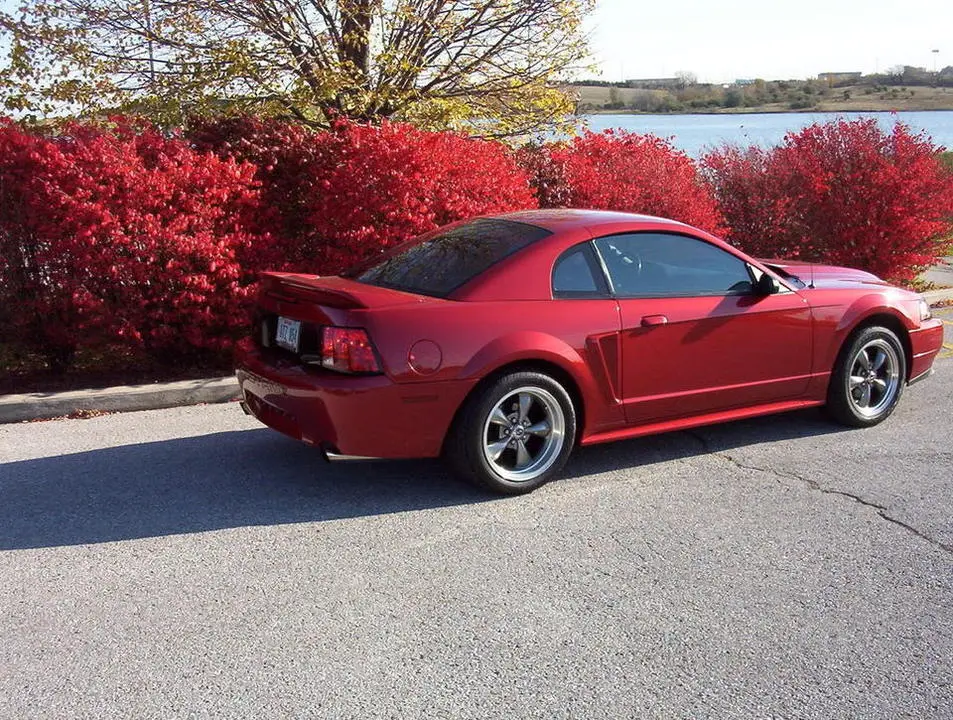 fall-mustang003.webp