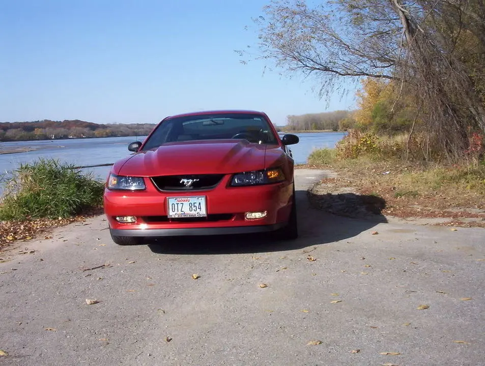 fall-mustang006.webp