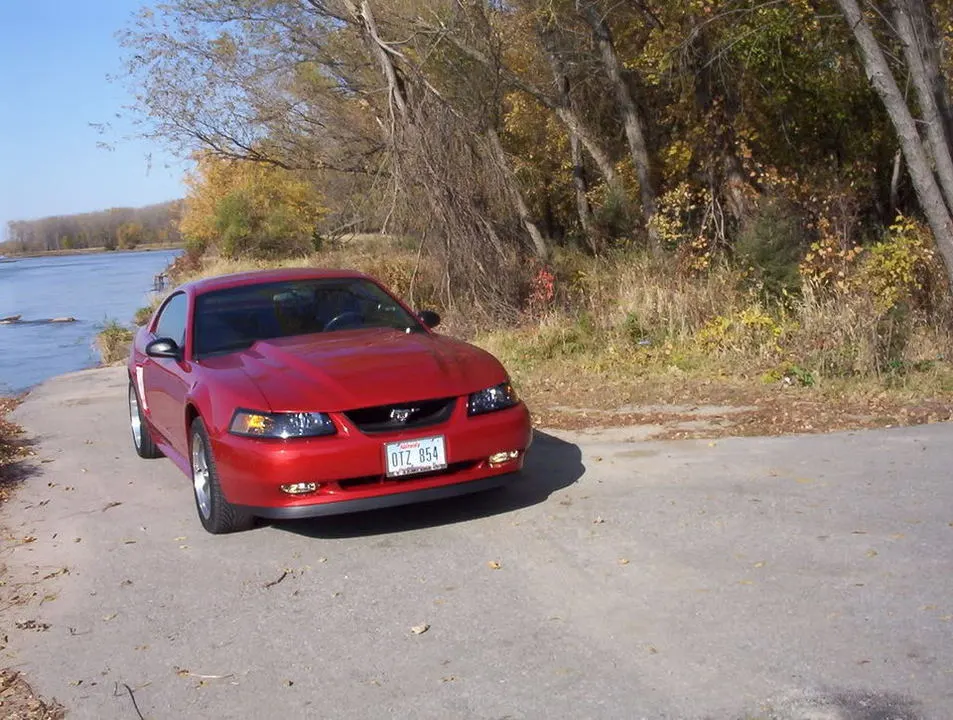fall-mustang007.webp