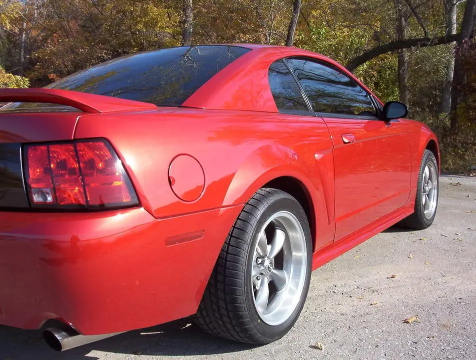 fall-mustang010.webp