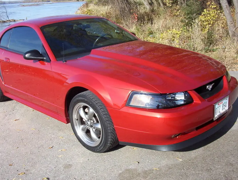 fall-mustang013.webp