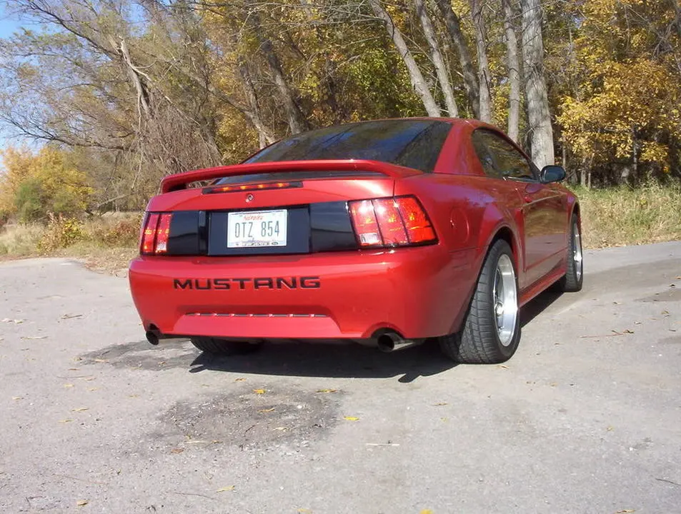fall-mustang015.webp