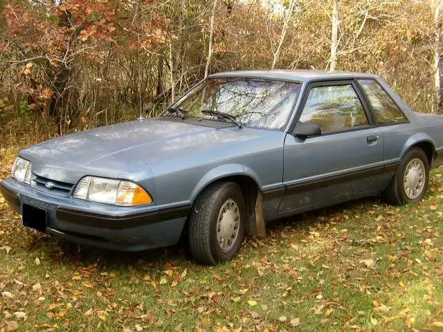 Fall06STANG139-1.webp