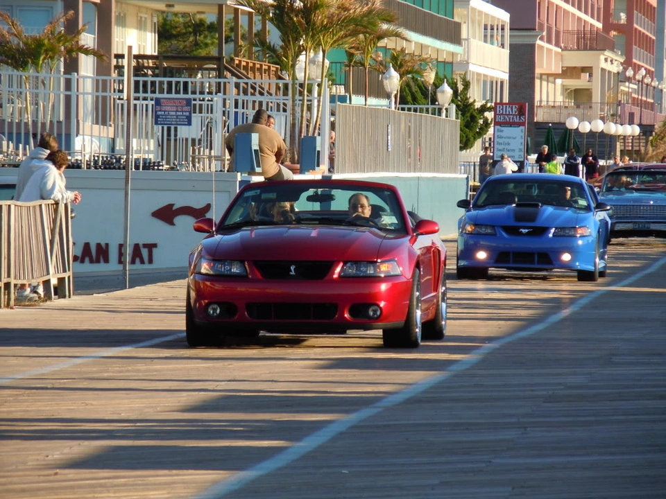 fall2010045.webp