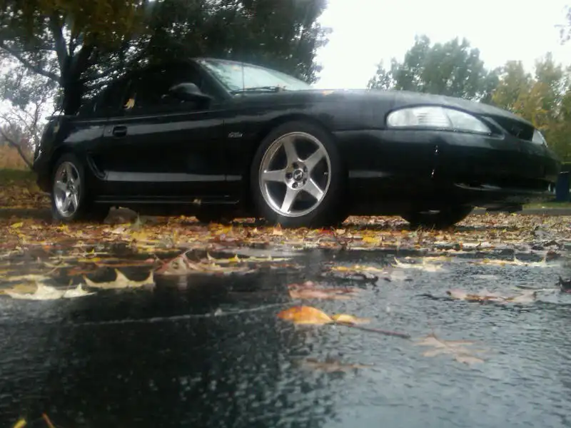 fallmustang.webp