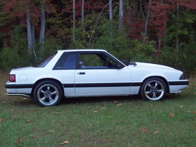 fallpictures010.webp