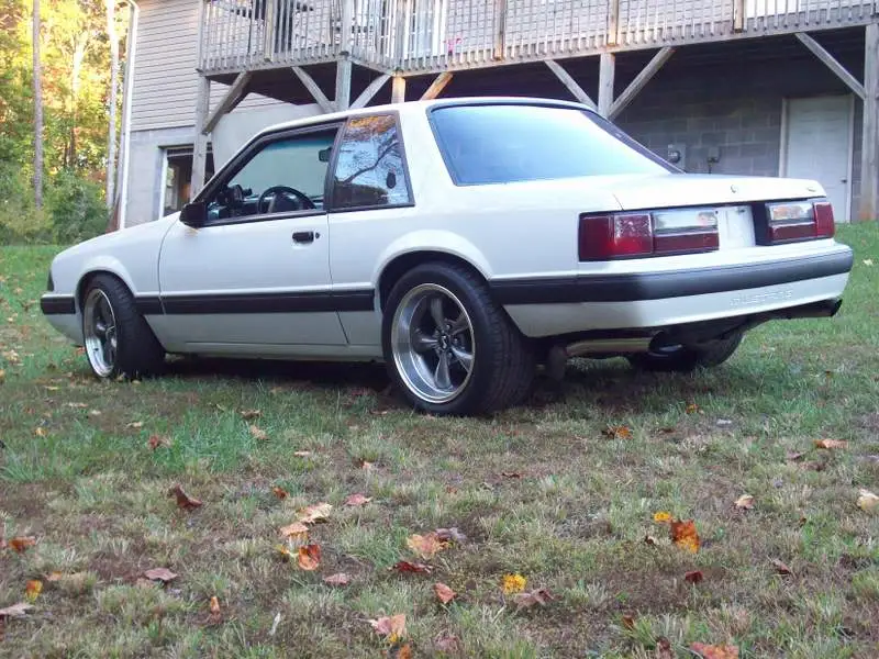 fallpictures020.webp
