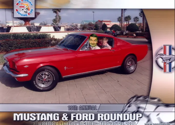 Familystang.webp