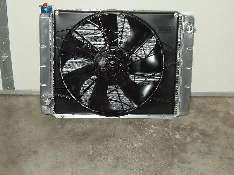 fan3.webp