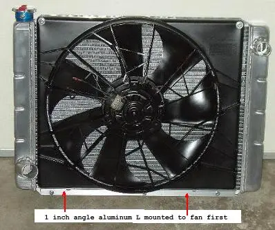 fan6.webp
