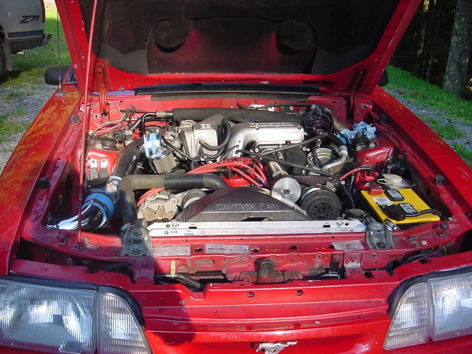 fancowl006.webp